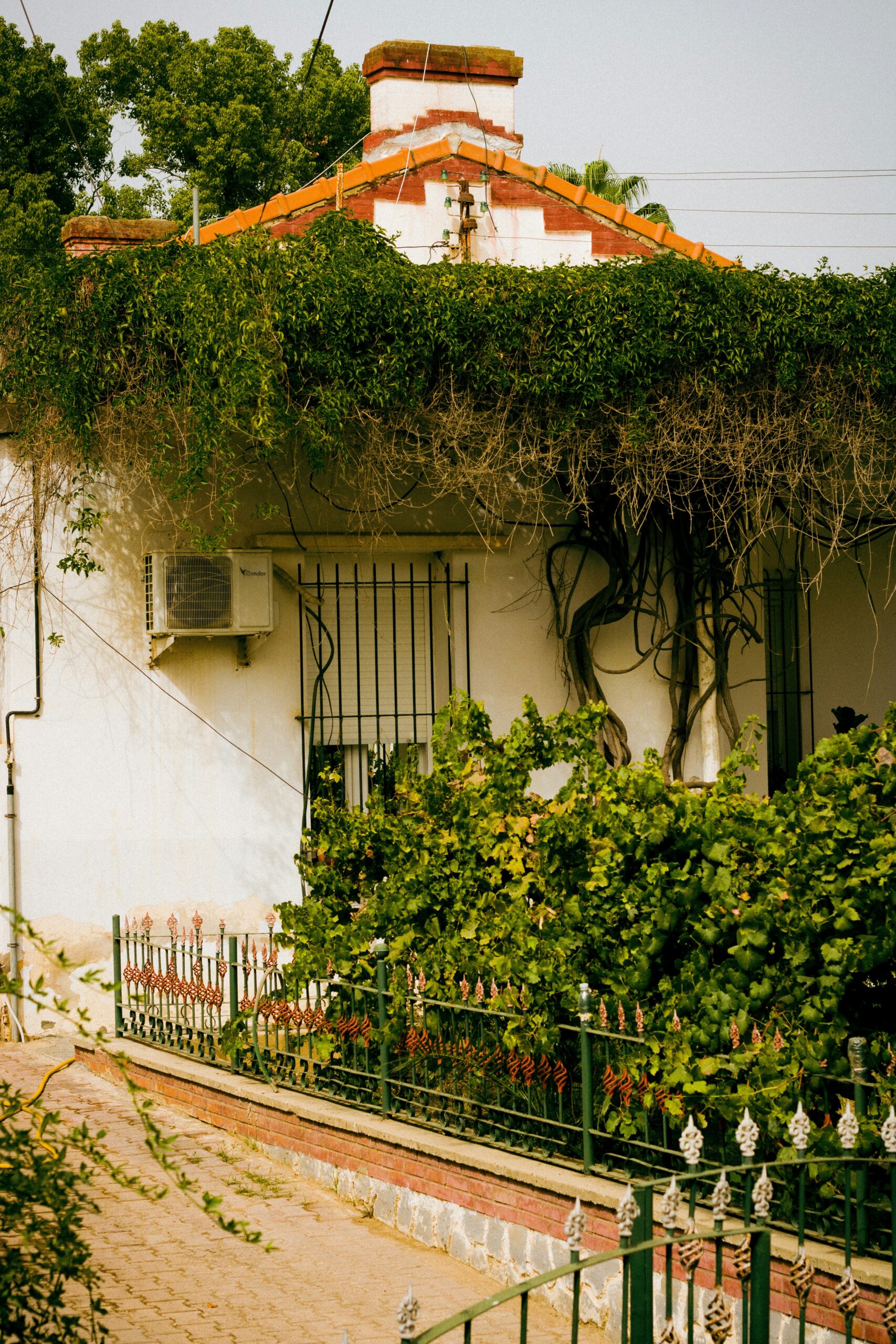 GREEN HOUSE